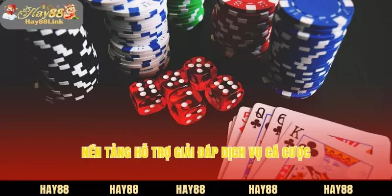 Nền tảng hỗ trợ giải đáp dịch vụ cá cược