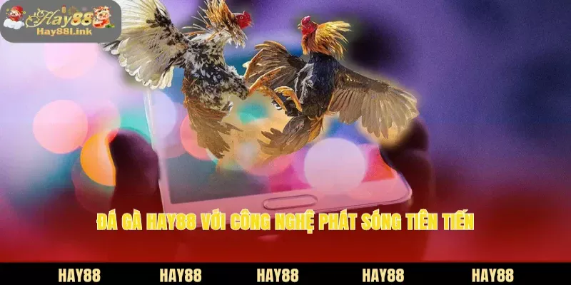 Đá gà HAY88 với công nghệ phát sóng tiên tiến