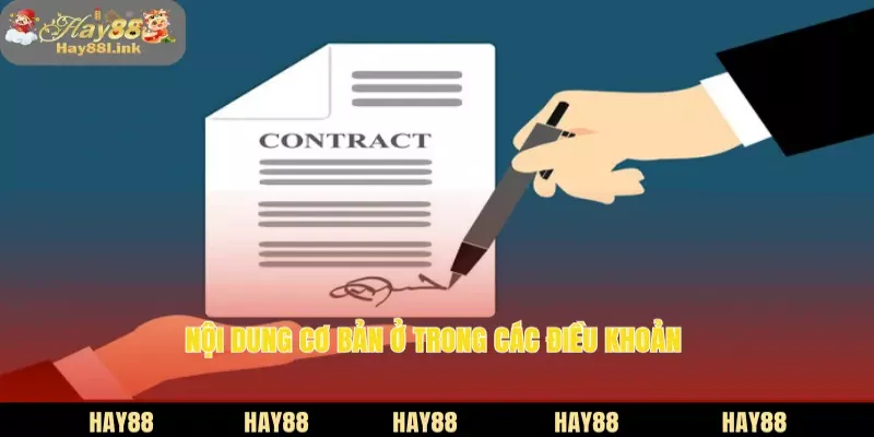 Nội dung cơ bản ở trong các điều khoản 