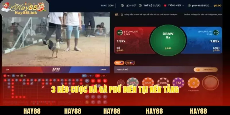 Trang Đá Gà Online HAY88 Livestream Full HD, Cược Cực Mượt 4 3 kèo cược đá gà phổ biến tại nền tảng